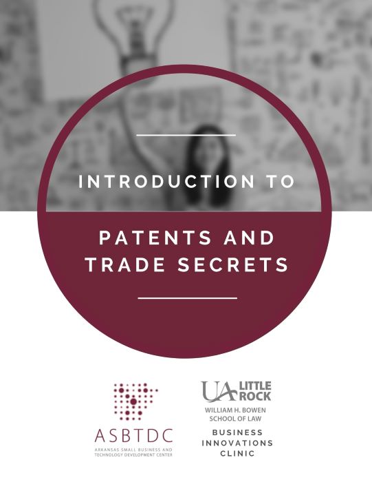 Introduction to Patents and Trade Secrets e-book cover